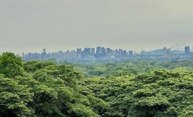 Elevated Big Prime Lot For Sale at Town and Country Estates, Valley Golf Antipolo