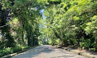 Elevated Big Prime Lot For Sale at Town and Country Estates, Valley Golf Antipolo