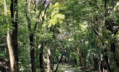 Elevated Big Prime Lot For Sale at Town and Country Estates, Valley Golf Antipolo
