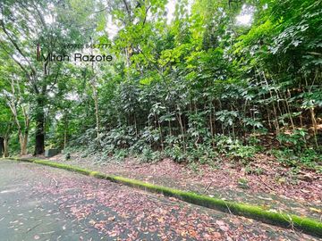Elevated Big Prime Lot For Sale at Town and Country Estates, Valley Golf Antipolo