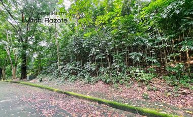Elevated Big Prime Lot For Sale at Town and Country Estates, Valley Golf Antipolo