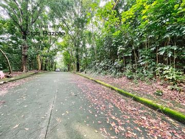 Elevated Big Prime Lot For Sale at Town and Country Estates, Valley Golf Antipolo