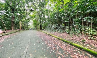 Elevated Big Prime Lot For Sale at Town and Country Estates, Valley Golf Antipolo