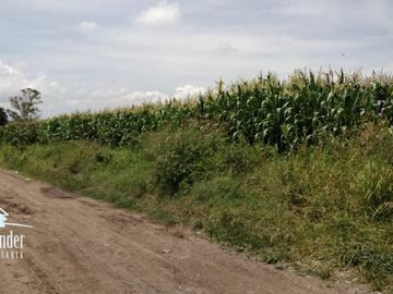 4 Hectáreas en venta en carretera Salida a Salamanca $1,050 x m2
