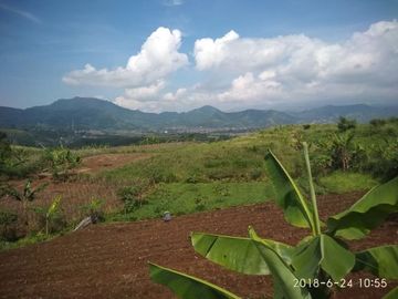 Cheap land for sale 135 Hectares in Cipanas, Cianjur City