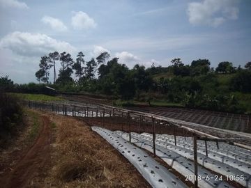 Cheap land for sale 135 Hectares in Cipanas, Cianjur City
