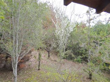 Parcela en Venta en Lago Colbún /río Maule