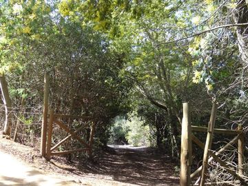 Parcela en Venta en Lago Colbún /río Maule