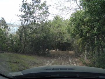 Parcela en Venta en Lago Colbún /río Maule