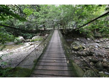 Hermosa casa ecologica al canto del Rio Shilcayo