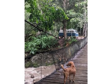 Hermosa casa ecologica al canto del Rio Shilcayo