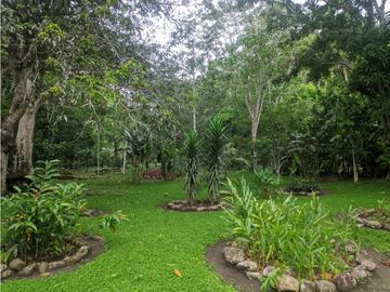 Hermosa casa ecologica al canto del Rio Shilcayo