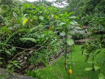 Hermosa casa ecologica al canto del Rio Shilcayo