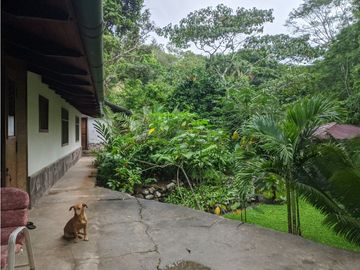Hermosa casa ecologica al canto del Rio Shilcayo