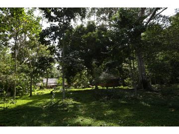 Hermosa casa ecologica al canto del Rio Shilcayo