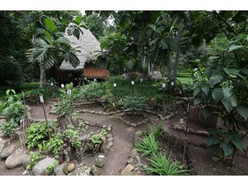 Hermosa casa ecologica al canto del Rio Shilcayo