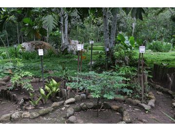 Hermosa casa ecologica al canto del Rio Shilcayo