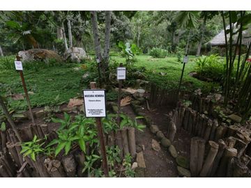 Hermosa casa ecologica al canto del Rio Shilcayo