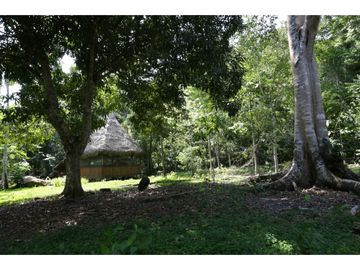 Hermosa casa ecologica al canto del Rio Shilcayo