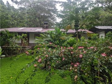 Hermosa casa ecologica al canto del Rio Shilcayo