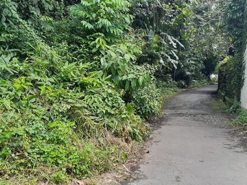 Tanah di Jalan Damai Lingkungan Nasionalis
