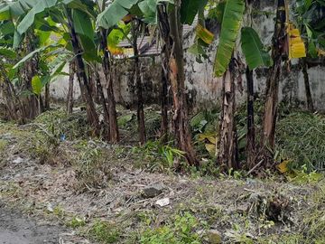 Tanah di Jalan Damai Lingkungan Nasionalis