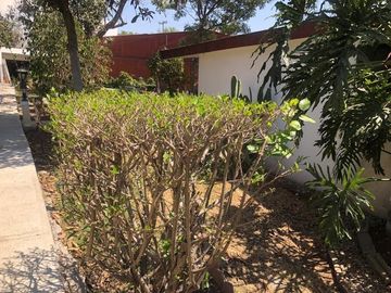Excelente Casa en venta en Tamoanchan, Jiutepec Morelos