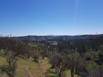 Parcela en Venta en Camino Vecinal Los Molles, F-50, Lo Orozco