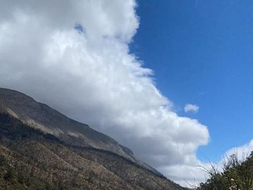 TERRENO CAMPESTRE EN LOS LIRIOS
