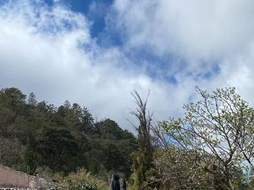 TERRENO CAMPESTRE EN LOS LIRIOS