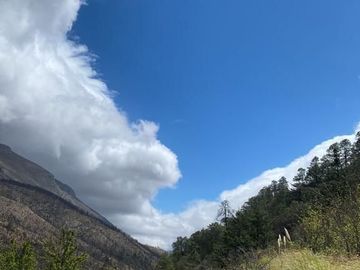 TERRENO CAMPESTRE EN LOS LIRIOS