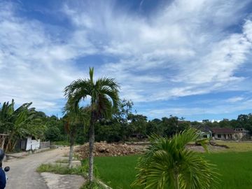 Cari Rumah Budget 150jt Dekat Kota? Yuk Cek Di Perumahan Danguran View.