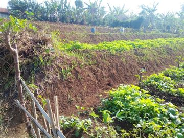 72 Tumbak Tanah Kebun Dekat Kantor Pemkab Bandung Barat, Pasirsalam, Ngamprah