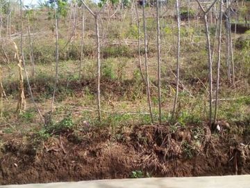 72 Tumbak Tanah Kebun Dekat Kantor Pemkab Bandung Barat, Pasirsalam, Ngamprah