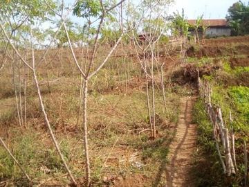 72 Tumbak Tanah Kebun Dekat Kantor Pemkab Bandung Barat, Pasirsalam, Ngamprah