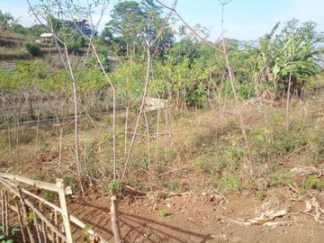 72 Tumbak Tanah Kebun Dekat Kantor Pemkab Bandung Barat, Pasirsalam, Ngamprah