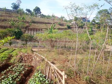 72 Tumbak Tanah Kebun Dekat Kantor Pemkab Bandung Barat, Pasirsalam, Ngamprah