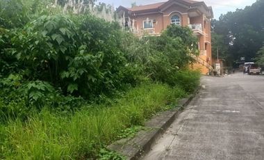 113 SQM Lot for Sale in Upper Casili Greenville Heights Consolacion Cebu
