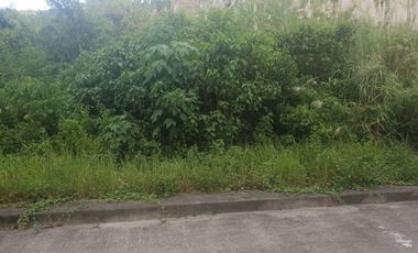 113 SQM Lot for Sale in Upper Casili Greenville Heights Consolacion Cebu