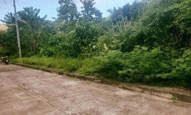 113 SQM Lot for Sale in Upper Casili Greenville Heights Consolacion Cebu