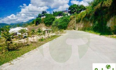 4-Bedroom House and Lot for Sale in Cebu