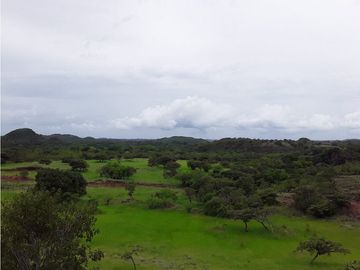 SEA CONFIABLE VENDE FINCA  DE 42 HA. EN SANTIAGO DE VERAGUAS