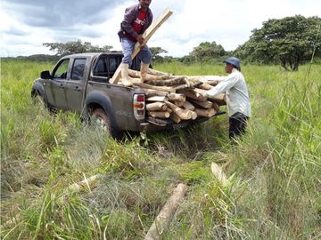 SEA CONFIABLE VENDE FINCA  DE 42 HA. EN SANTIAGO DE VERAGUAS