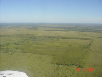 ESPECTAULAR ISLA CON FORESTACION EN ISLAS DEL IBICUY