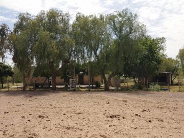 Estancia, campo ganadero de cria, 94.149 has. En Mendoza, con importantes mejoras, con o sin hacienda.