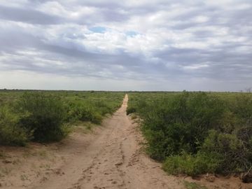 Estancia, campo ganadero de cria, 94.149 has. En Mendoza, con importantes mejoras, con o sin hacienda.