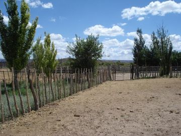 Estancia, campo ganadero de cria, 94.149 has. En Mendoza, con importantes mejoras, con o sin hacienda.