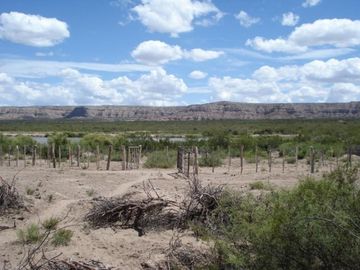 Estancia, campo ganadero de cria, 94.149 has. En Mendoza, con importantes mejoras, con o sin hacienda.