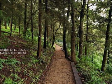 Condominio con bosque privado de 42,000 m2, concierge, gimnasio, spa, alberca se