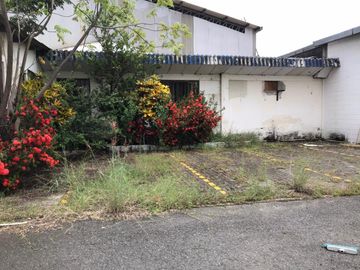Bodega en Venta Pascuales